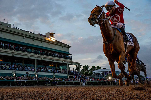 Thumbnail for Horse of the Year, Gun Runner, Claims the Pegasus World Cup