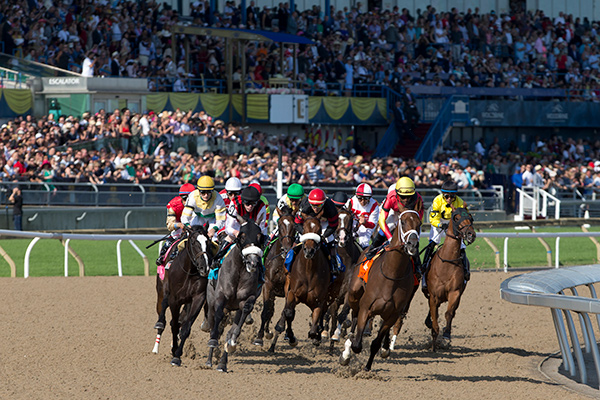 Thumbnail for Woodbine Announces 2018 Stakes Schedule