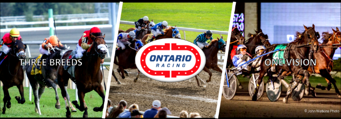 Thumbnail for Ontario horse racing sector Funding Agreement Webinar