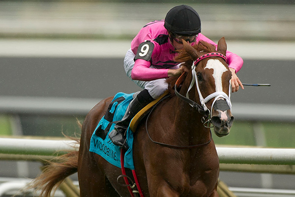 Catch a Glimpse winning the 2015 Natalma Stakes at Woodbine Racetrack. Photo by Michael Burns