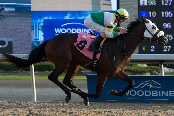 Pipers Warrior winning at Woodbine Racetrack. Photo by Michael Burns