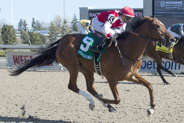 Thumbnail for Summer Sunday perseveres in Fury Stakes at Woodbine