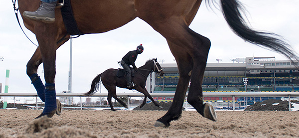 Thoroughbreds return to Woodbine for Opening Day on April 21, 2018. Post time is 1 p.m. Photo by Michael Burns