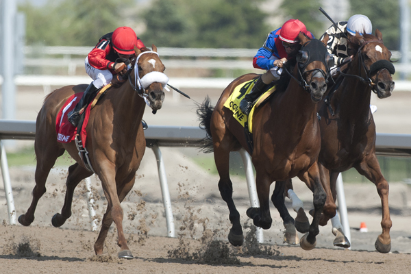 Are You Kidding Me and jockey Rafael Hernandez winning the Grade 2 Eclipse Stakes on Saturday, May 26 at Woodbine Racetrack. Melmich (1) finished second and Gigantic Breeze (2) was third.
