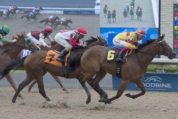 Thumbnail for Blurricane seeks Ballade Stakes repeat for Drexler at Woodbine