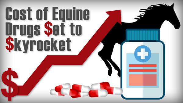Thumbnail for Cost of Equine Drugs Set to Skyrocket