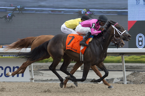 Thumbnail for Miss Mo Mentum rallies from last to win Selene Stakes at Woodbine
