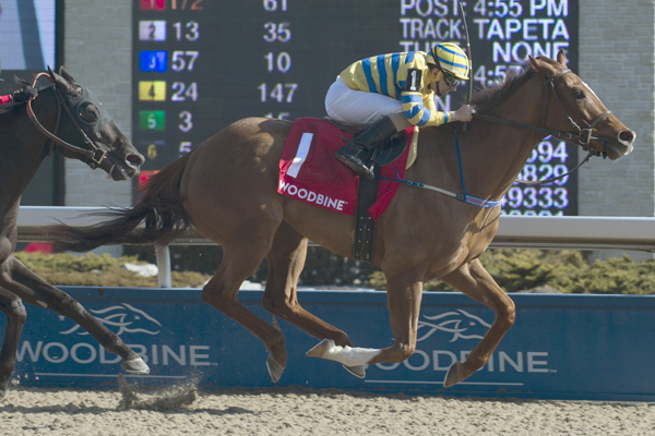 Pink Lloyd and jockey Rafael Hernandez winning the Jacques Cartier Stakes on April 21 at Woodbine Racetrack.