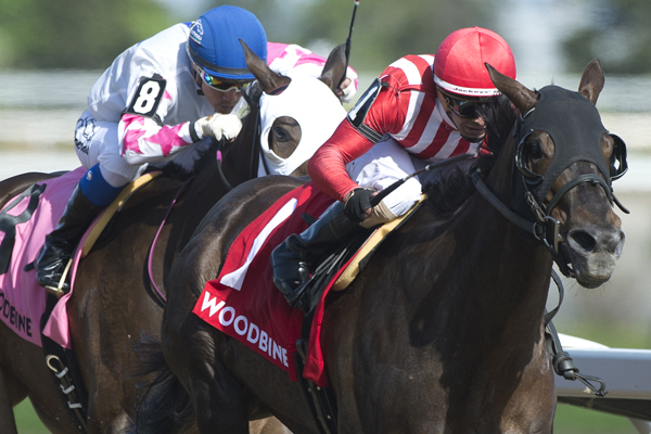 Thumbnail for Scotty’s Model scores first stakes win in Ballade Stakes at Woodbine