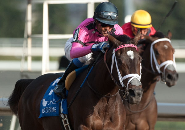 Thumbnail for See the List of 2018 Queen’s Plate Nominees