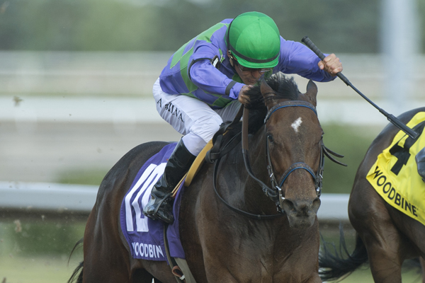Thumbnail for Gamble’s Ghost scores a spirited win in Trillium Stakes at Woodbine