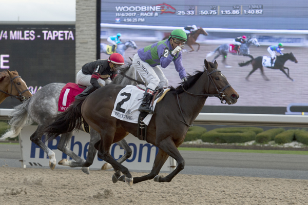 Thumbnail for Gamble’s Ghost looking to add another win in Sunday’s Trillium Stakes at Woodbine