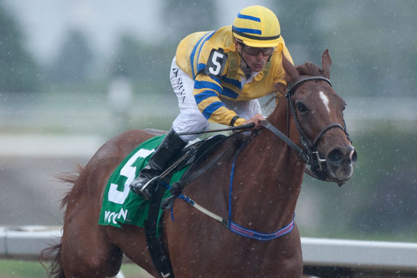 Pink Lloyd winning the 2018 Achievement Stakes in rein to Eurico Rosa Da Silva on June 3 at Woodbine Racetrack. Michael Burns Photo