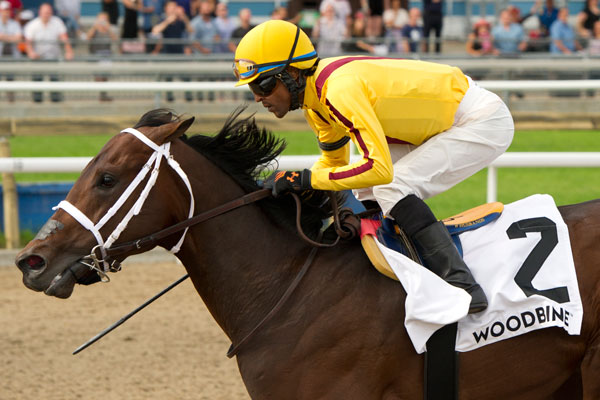 Thumbnail for Telekinesis Is the One to Beat in the Queen’s Plate