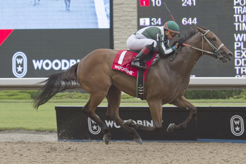 Big Drink of Water and jockey Pablo Morales winning the $100,000 Victoria Stakes on Saturday, July 14 at Woodbine Racetrack.