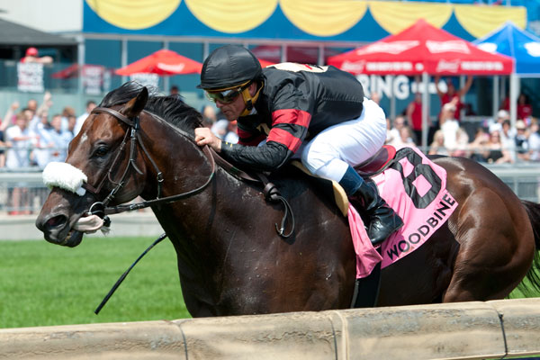 Delta Prince won the $182,350 King Edward Stakes at Woodbine. Photo by Michael Burns