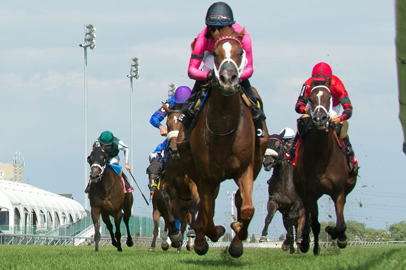 Got Stormy and jockey Patrick Husbands winning the $125,000 Ontario Colleen Stakes (Grade 3) on Saturday, July 21 at Woodbine Racetrack. (Michael Burns Photo