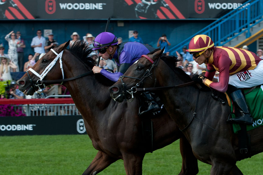 Long on Value won the $251,000 Highlander Stakes at Woodbine. Photo by Michael Burns