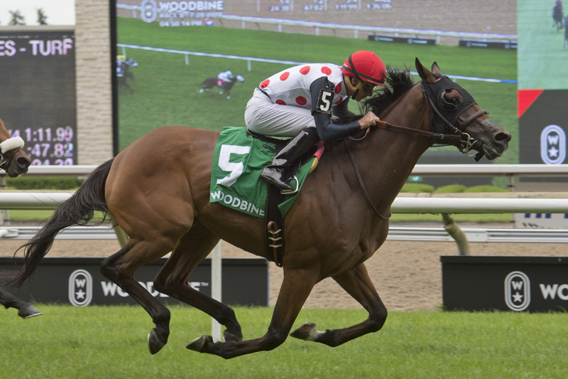March to the Arch and jockey Gary Boulanger winning the $100,000 Toronto Cup on Saturday, July 28 at Woodbine Racetrack.