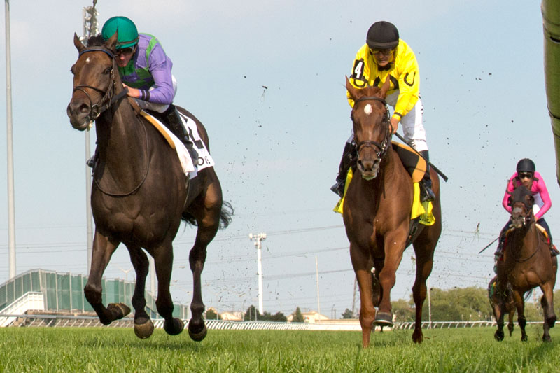 Avie’s Mineshaft (#2) defeats Dixie Moon (#4) in the $225,000 Wonder Where Stakes on Sunday, August 12 at Woodbine Racetrack. Michael Burns Photo