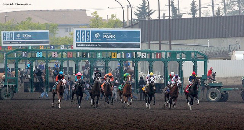 Coming out of the gate for the Canadian Derby, the last Thoroughbred race at Northlands. Photo by Lisa Thompson