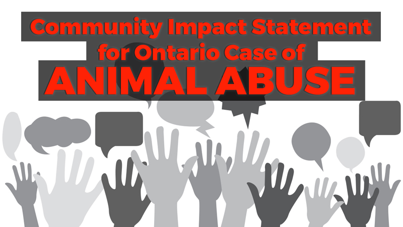 Thumbnail for Community Impact Statement for Ontario Case of Animal Abuse