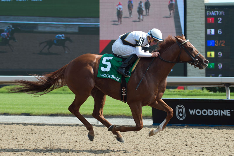 Decorated Soldier and jockey Gary Boulanger winning the $125,000 Seagram Cup (Grade 3) on Sunday, August 12 at Woodbine Racetrack. Michael Burns Photo