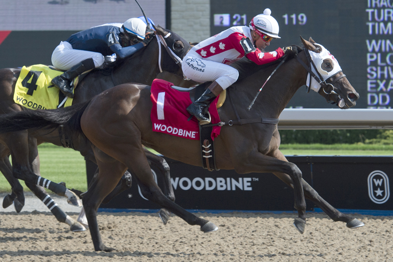 Line of Vision and jockey Luis Contreras winning the $100,000 Eternal Search Stakes on Sunday, August 5 at Woodbine Racetrack.
