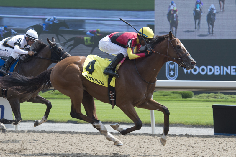 Thumbnail for A look at the fields for Sunday’s Soaring Free and Seaway Stakes