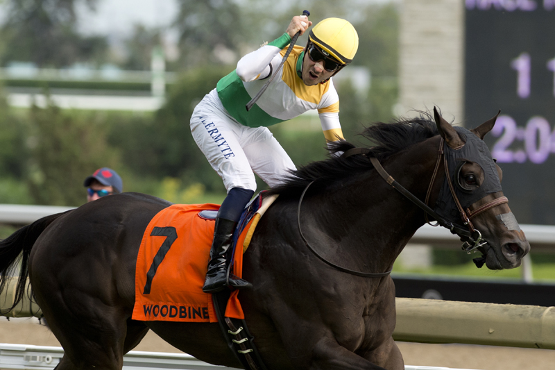 Thumbnail for Neepawa takes the $400,000 Breeders’ Stakes at Woodbine