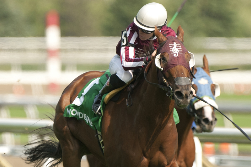 Red Cabernet and jockey Emma-Jayne Wilson winning the $100,000 Victoriana Stakes on Saturday, August 11 at Woodbine Racetrack.