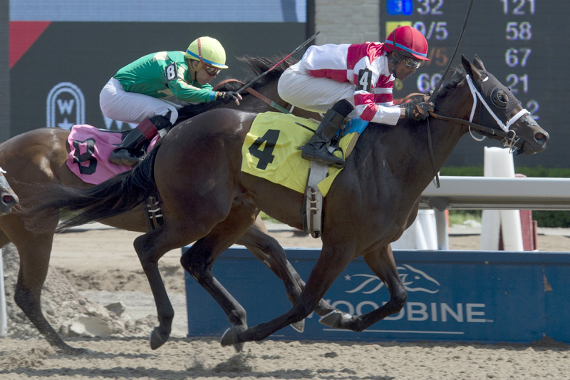Thumbnail for Maritime Breeze looks to repeat dam’s win in Shady Well at Woodbine