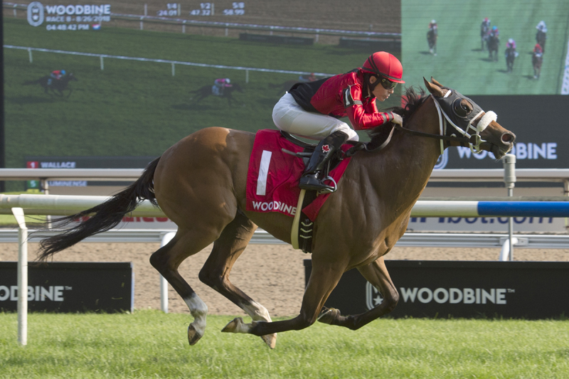 Wallace and jockey Emma-Jayne Wilson winning the inaugural $100,000 Soaring Free Stakes on Sunday, August 26 at Woodbine Racetrack.