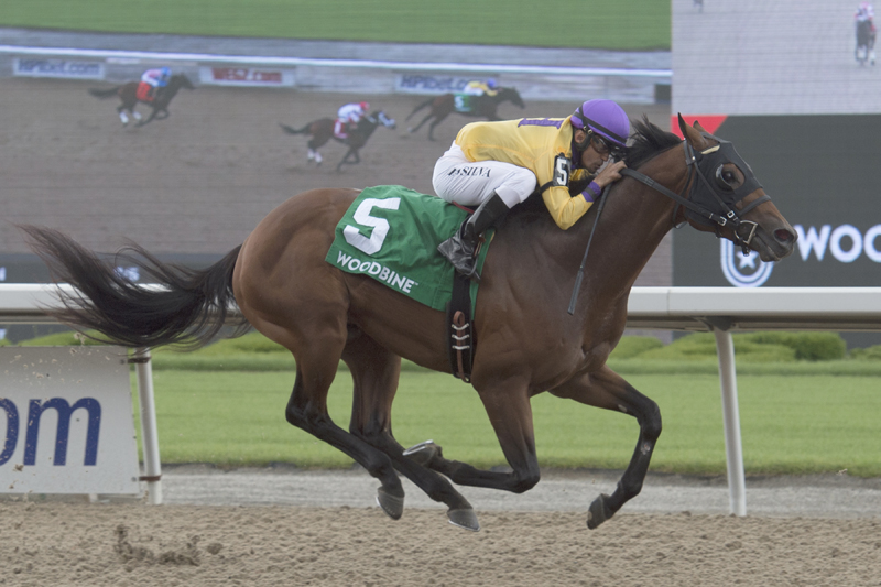 Thumbnail for Wyatt’s Town looks to continue win streak in Ontario Jockey Club Stakes