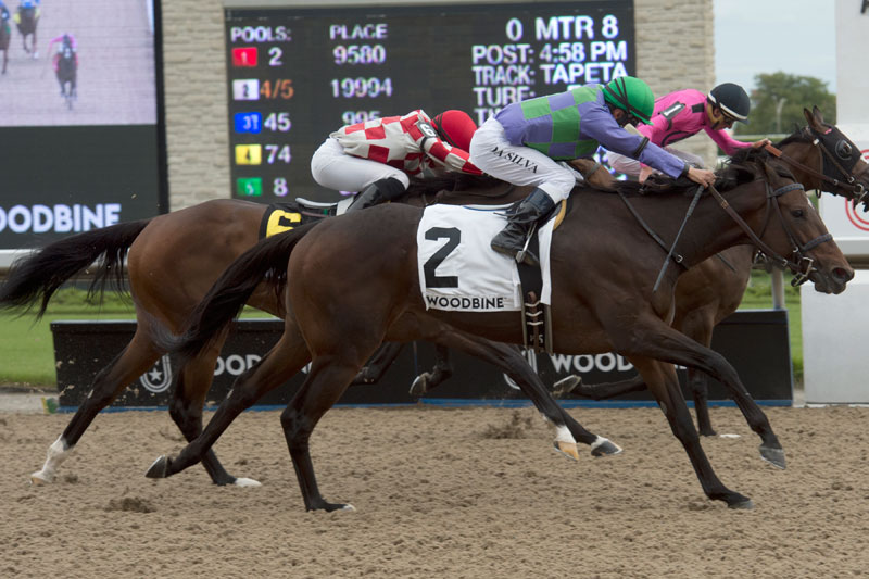Thumbnail for Gamble’s Ghost Earns Third Straight Stakes Score in Belle Mahone
