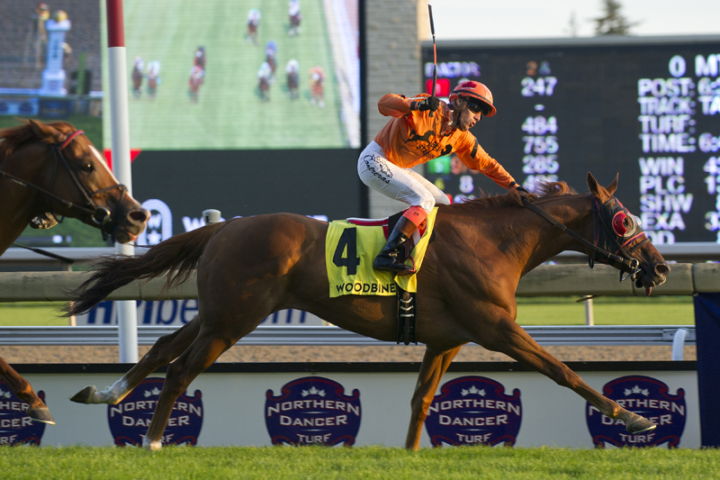 Thumbnail for Pattison Canadian International to headline a stellar stakes program at Woodbine