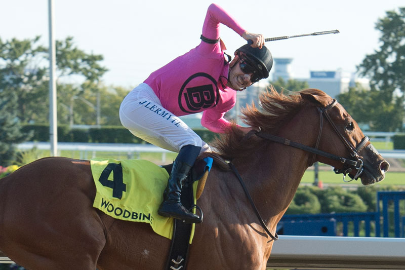 Jockey Jerome Lermyte celebrates aboard Lookin for Eight after winning the $125,000 Durham Cup (Grade 3) on Sunday, Sept. 23 at Woodbine Racetrack. Michael Burns Photo