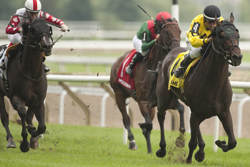 Mr Havercamp and jockey Eurico Rosa Da Silva winning in the Grade 2 Play the King Stakes on August 25 at Woodbine Racetrack.