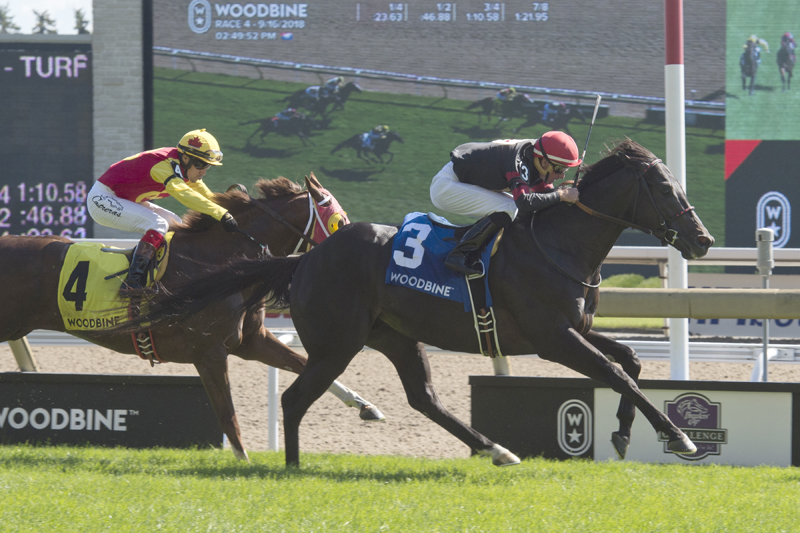 Silent Poet and jockey Gary Boulanger winning the $100,000 Vice Regent Stakes on Sunday, Sept. 16 at Woodbine Racetrack.