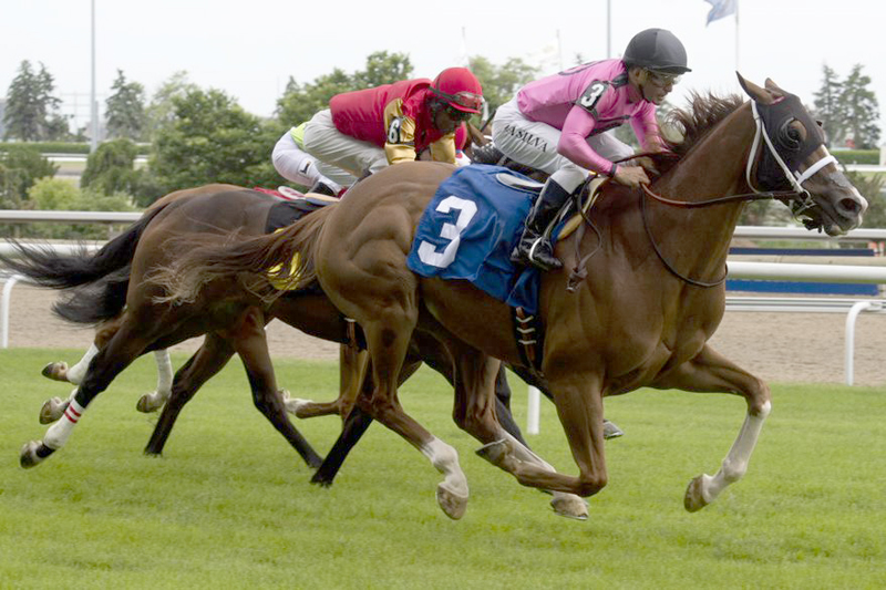Thumbnail for Can Vanish Pull a Disappearing Act in the Ricoh Woodbine Mile?