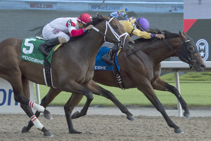 Thumbnail for Wyatt’s Town edges Hemp Hemp Hurray in Ontario Jockey Club Stakes