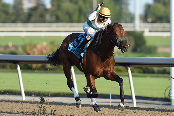 Thumbnail for Yorkton crushes opponents in Bold Venture Stakes at Woodbine
