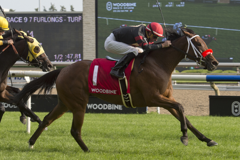 Zestina and jockey Gary Boulanger winning the $100,000 Passing Mood Stakes on Saturday, Sept. 1 at Woodbine Racetrack.