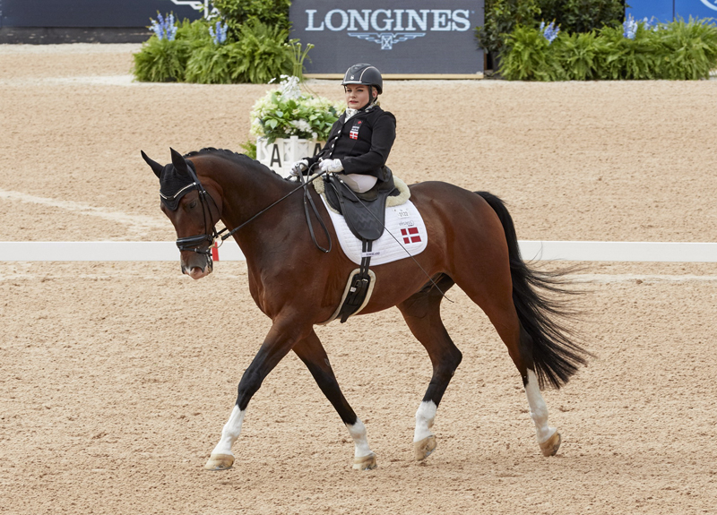 Denmark’s Paralympian Stinna Tange Kaastrup with her mount Horsebo Smarties secures her first World Championship title at the FEI World Equestrian Games™ Tryon 2018.