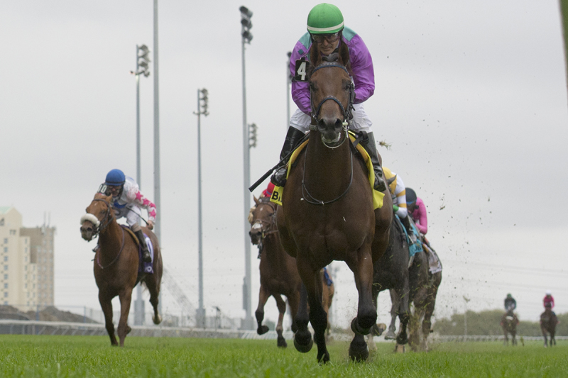 Thumbnail for Avie’s Flatter cruises to the win in the Cup and Saucer Stakes