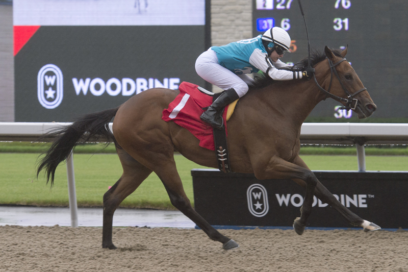 Thumbnail for A look at the field for the Frost King Stakes at Woodbine