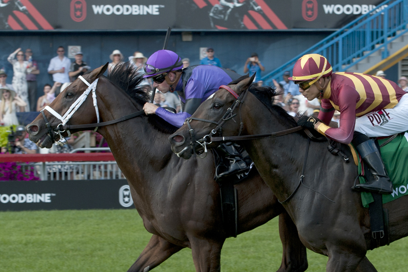 Lady Alexandra and jockey Jose Ortiz, pictured here finishing just a neck behind Long On Value in the Grade 1 Highlander Stakes on June 30 at Woodbine Racetrack. Holding Gold finished 1-3/4 lengths back in third.