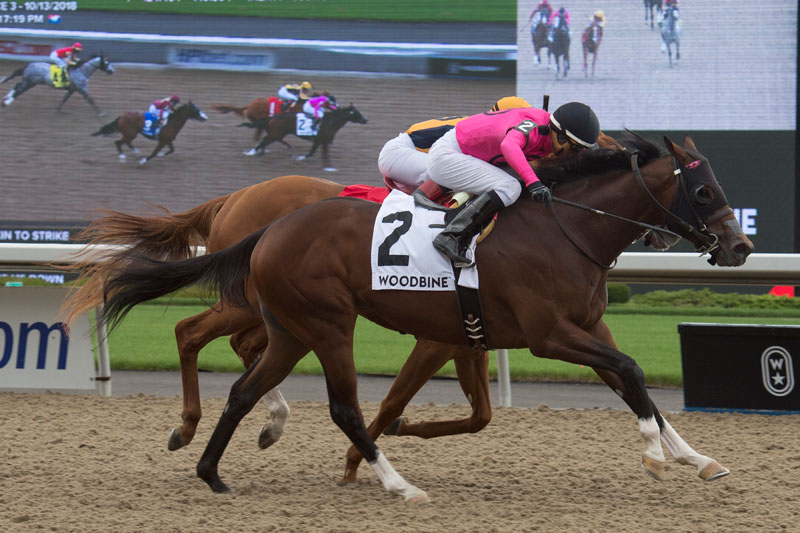 PHOTO: Lookin to Strike, in rein to jockey Gary Boulanger, winning the $125,000 Ontario Derby (Grade 3) over fellow Mark Casse trainee Curlin’s Honor on Saturday, Oct. 13 at Woodbine Racetrack. Michael Burns Photo
