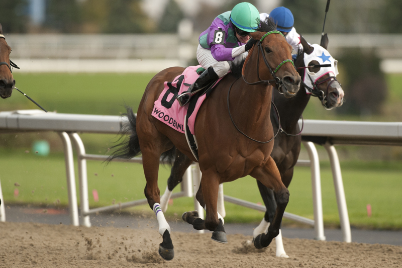 Thumbnail for Silent Sonet long shot win in the Ontario Fashion at Woodbine