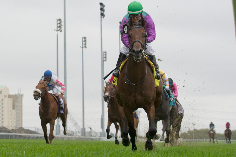 Avie’s Flatter and jockey Eurico Rosa Da Silva winning the Cup and Saucer Stakes on October 7 at Woodbine Racetrack. Michael Burns Photo